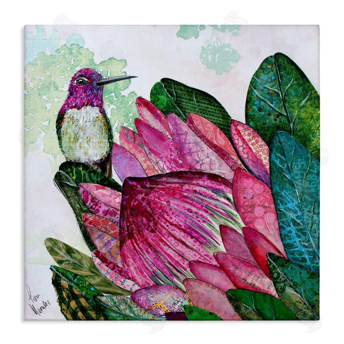 Lisa Morales Hummingbird And Protea Canvas Wall Art Print
