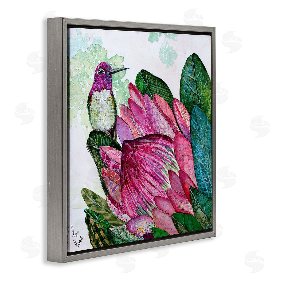 Lisa Morales Hummingbird And Protea Canvas Wall Art Print