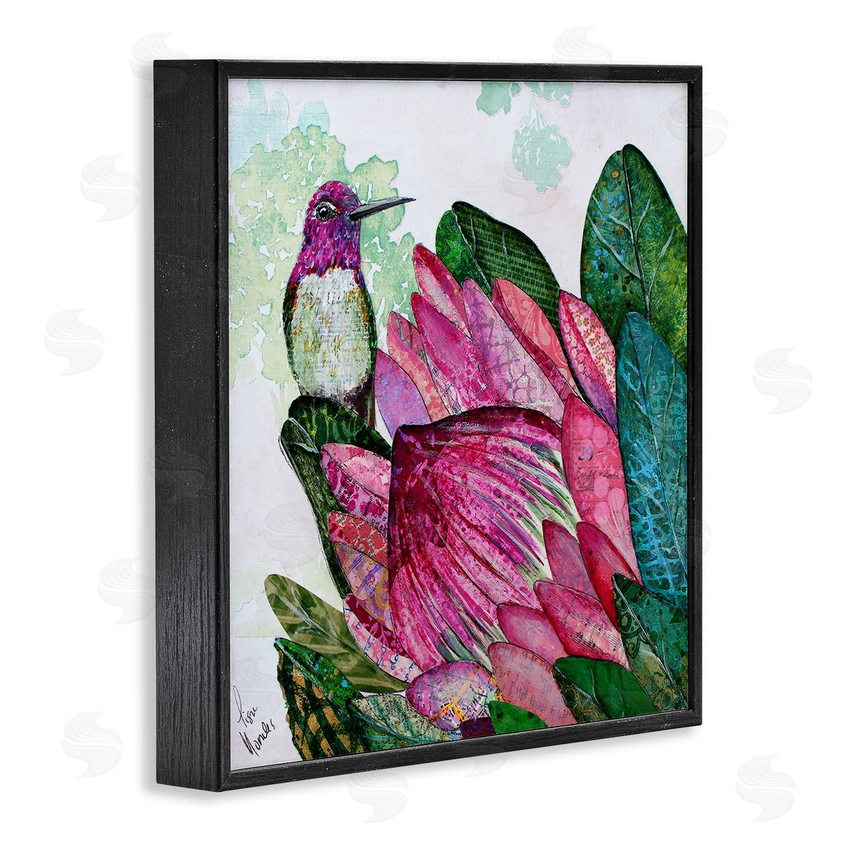 Lisa Morales Hummingbird And Protea Canvas Wall Art Print