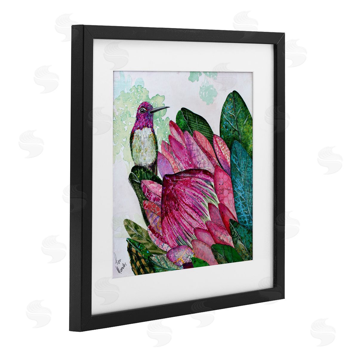 Lisa Morales Hummingbird And Protea Canvas Wall Art Print