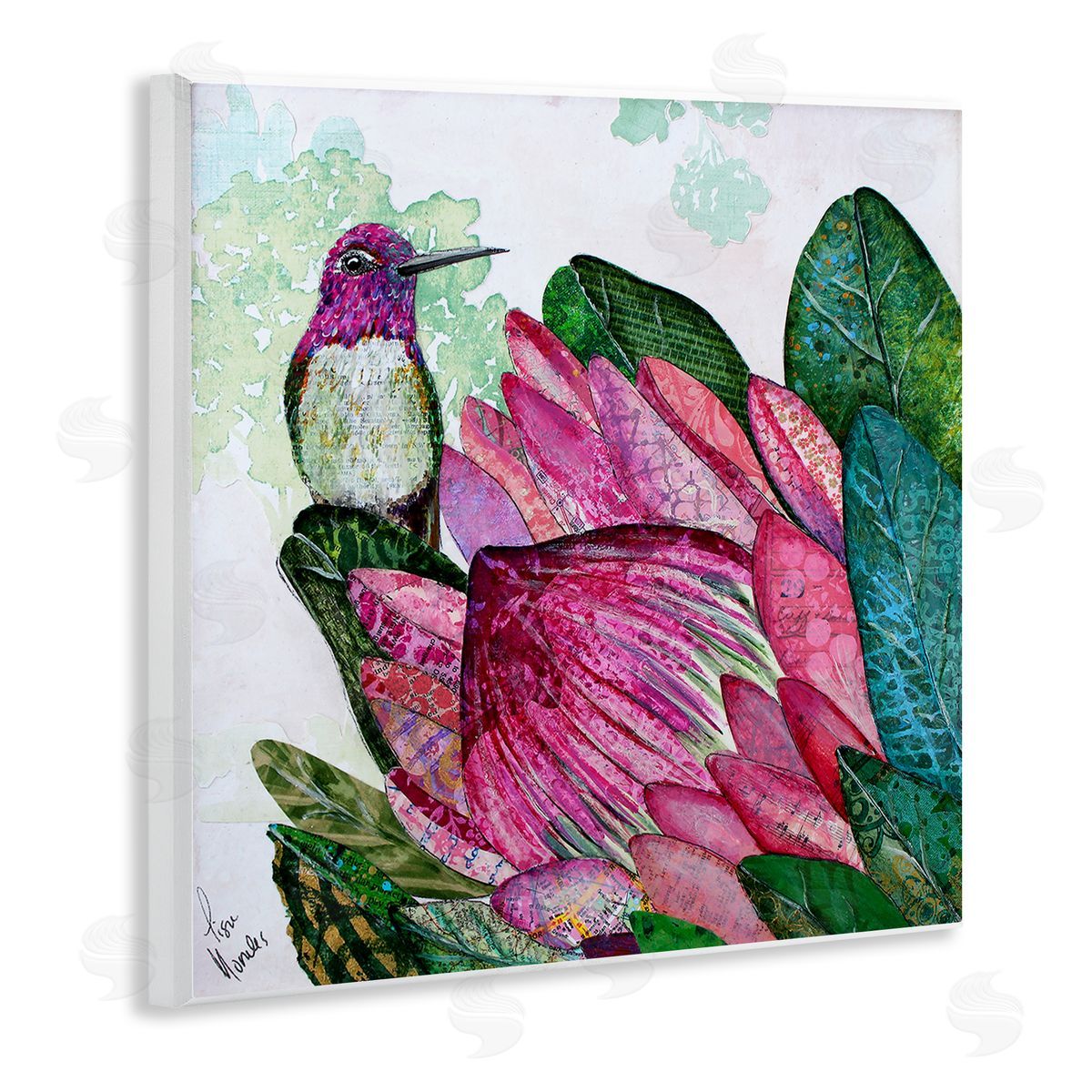 Lisa Morales Hummingbird And Protea Canvas Wall Art Print