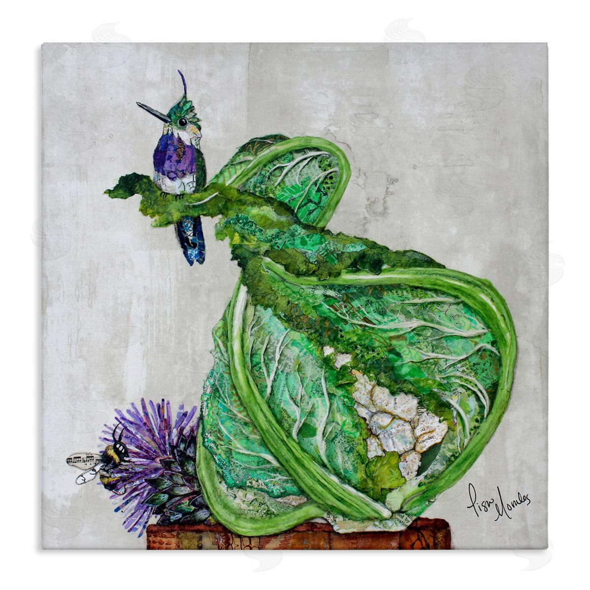 Lisa Morales Hummingbird on Cauliflower Canvas Wall Art Print