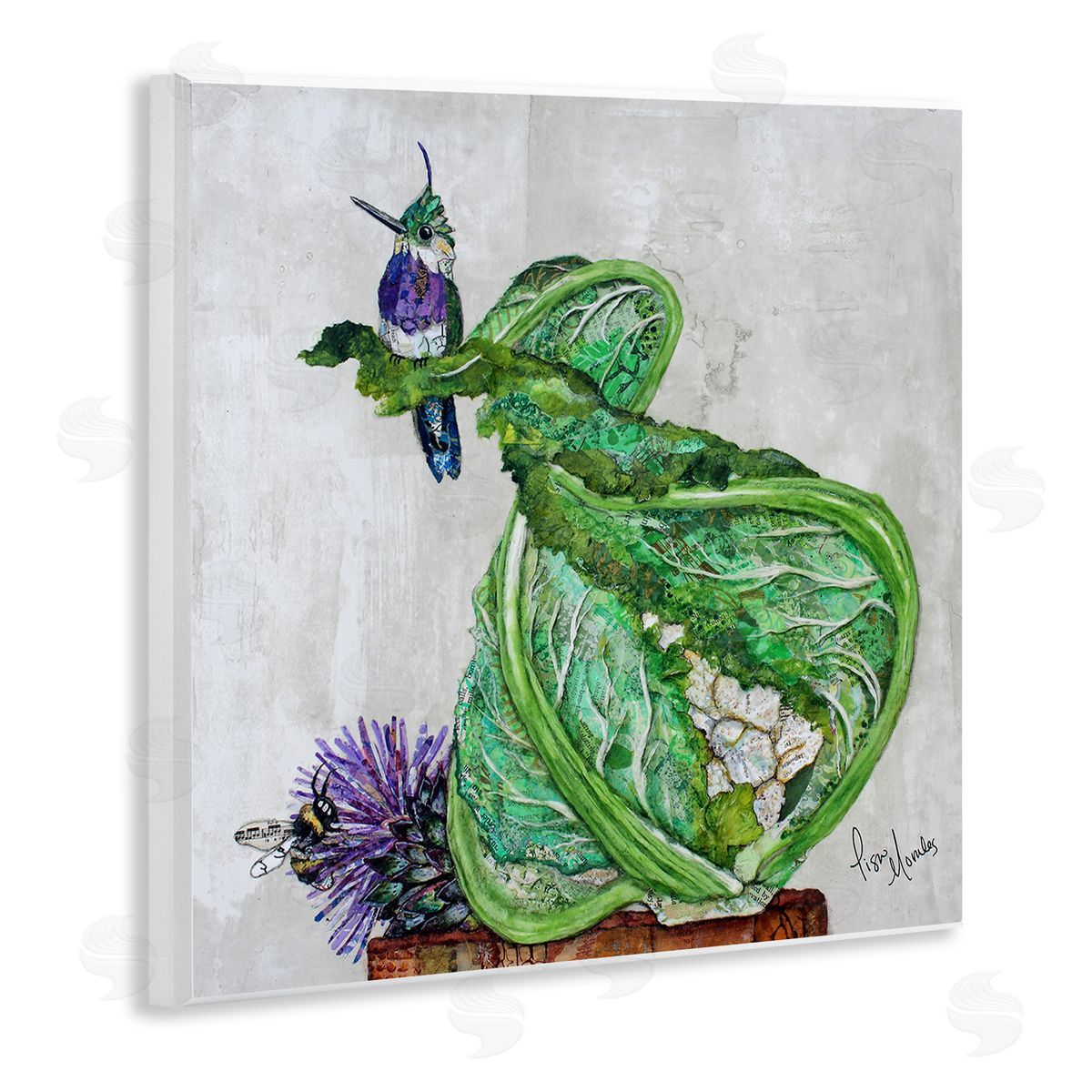 Lisa Morales Hummingbird on Cauliflower Canvas Wall Art Print