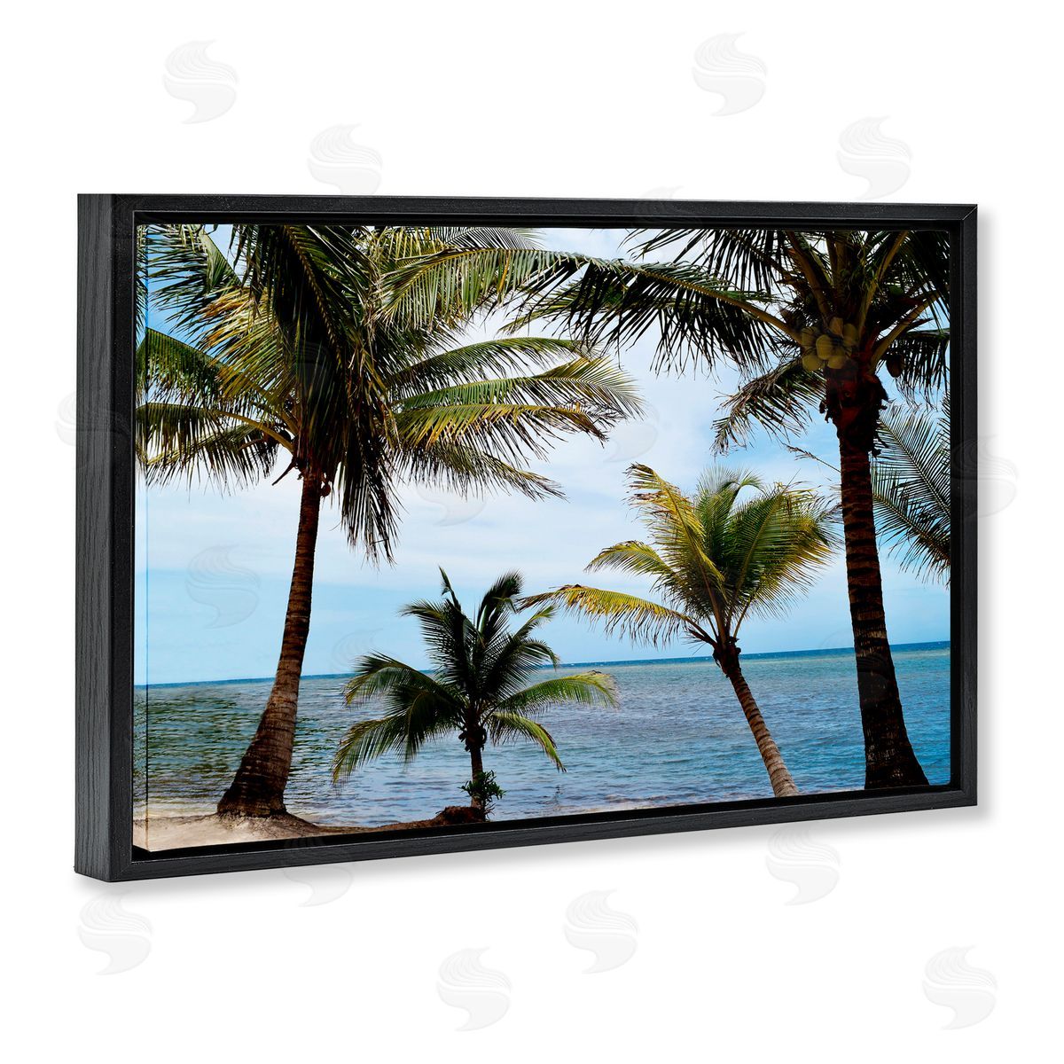 Natalie Carpentieri Honduras Daytime Palms Canvas Wall Art Print