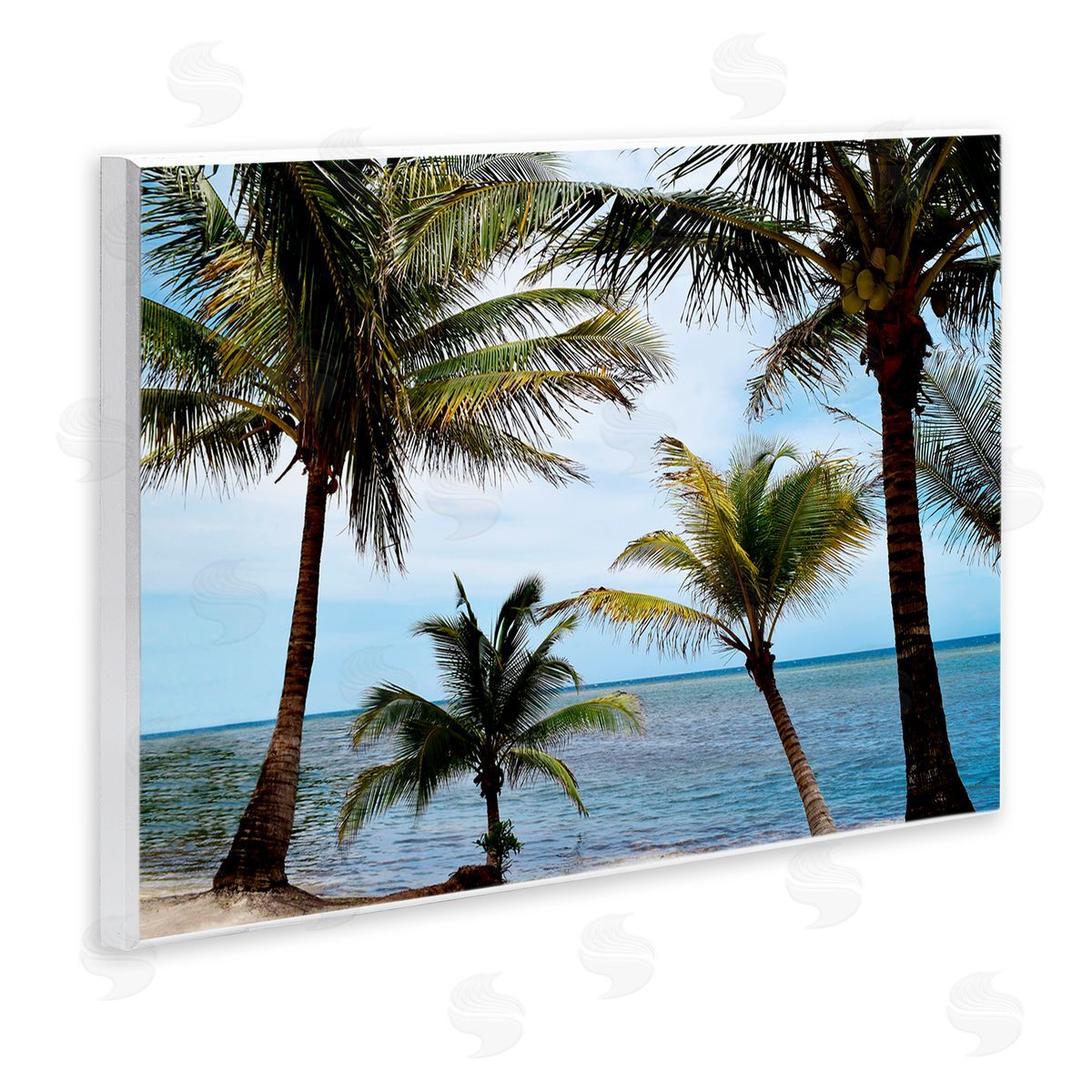 Natalie Carpentieri Honduras Daytime Palms Canvas Wall Art Print