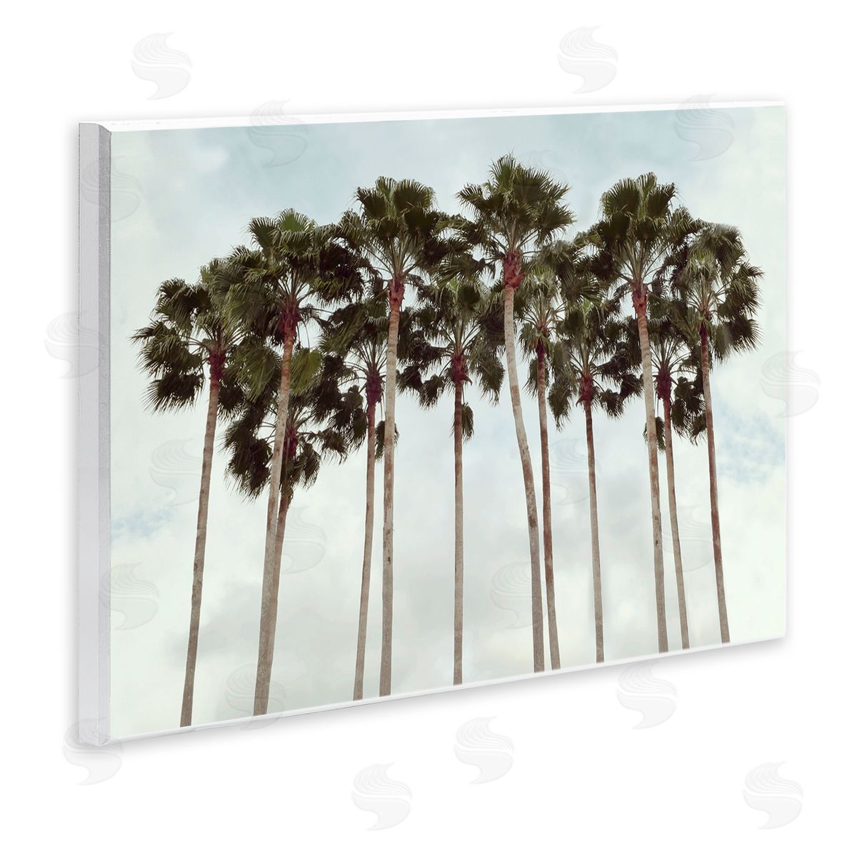 Natalie Carpentieri Surfs Up Beach Palms Canvas Wall Art Print