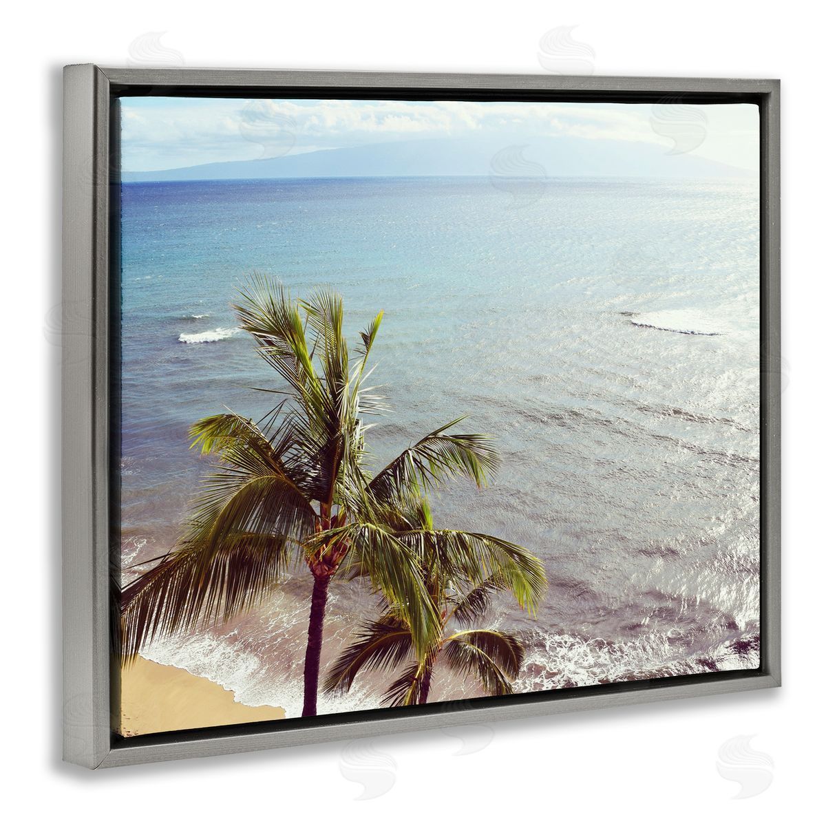 Natalie Carpentieri Happy Soul Palm Coast Canvas Wall Art Print