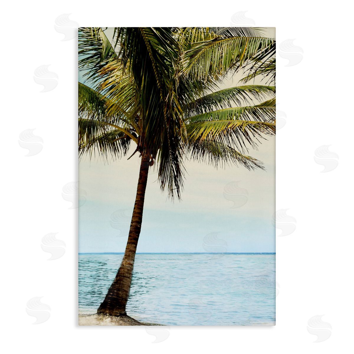 Natalie Carpentieri Honduras Coast Palm Tree Canvas Wall Art Print