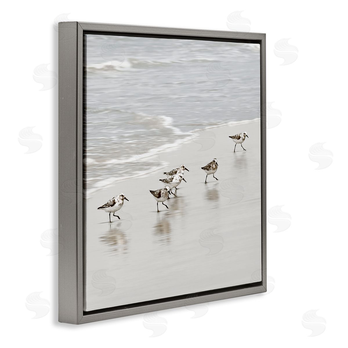 Natalie Carpentieri Scurrying Sandpiper Birds Canvas Wall Art Print