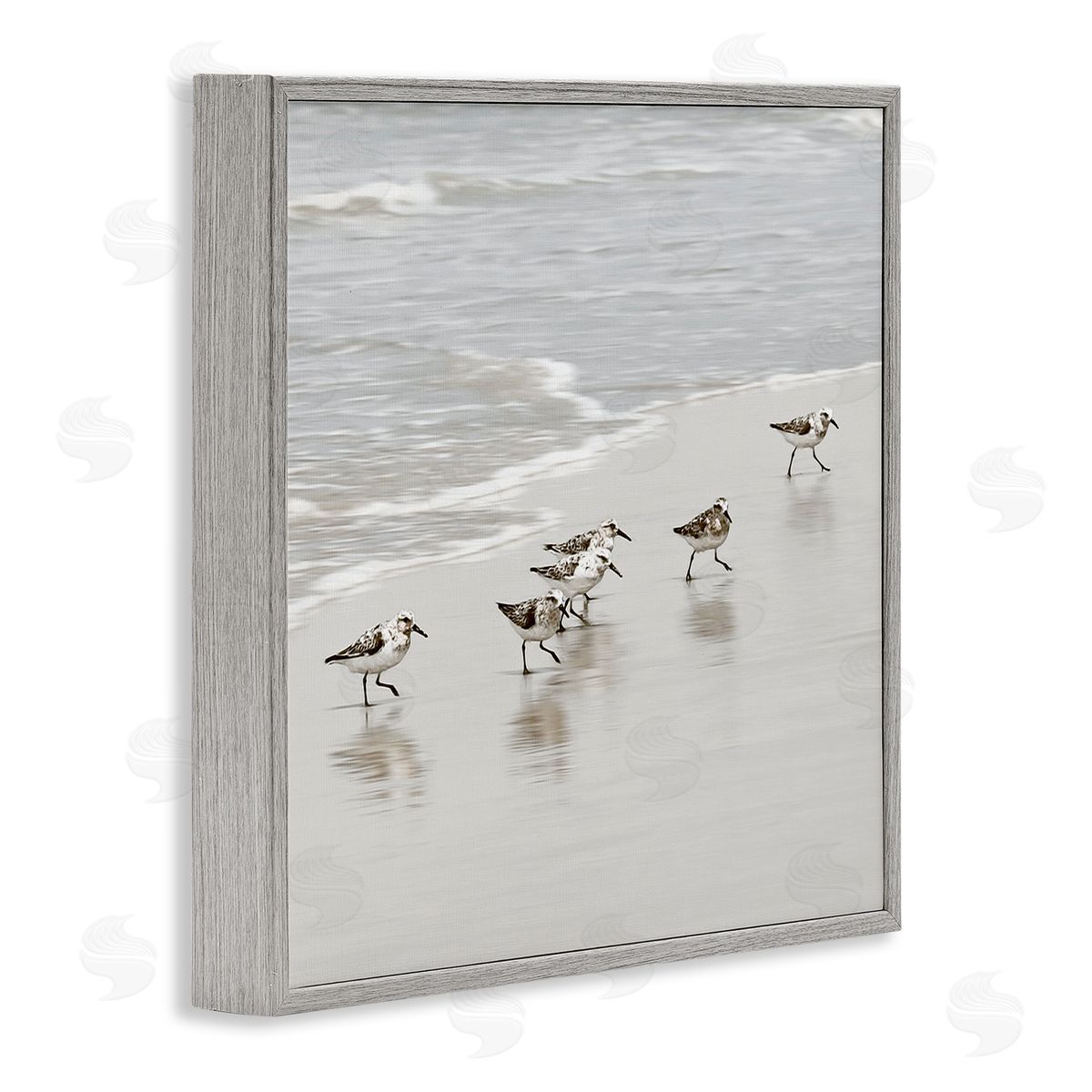 Natalie Carpentieri Scurrying Sandpiper Birds Canvas Wall Art Print
