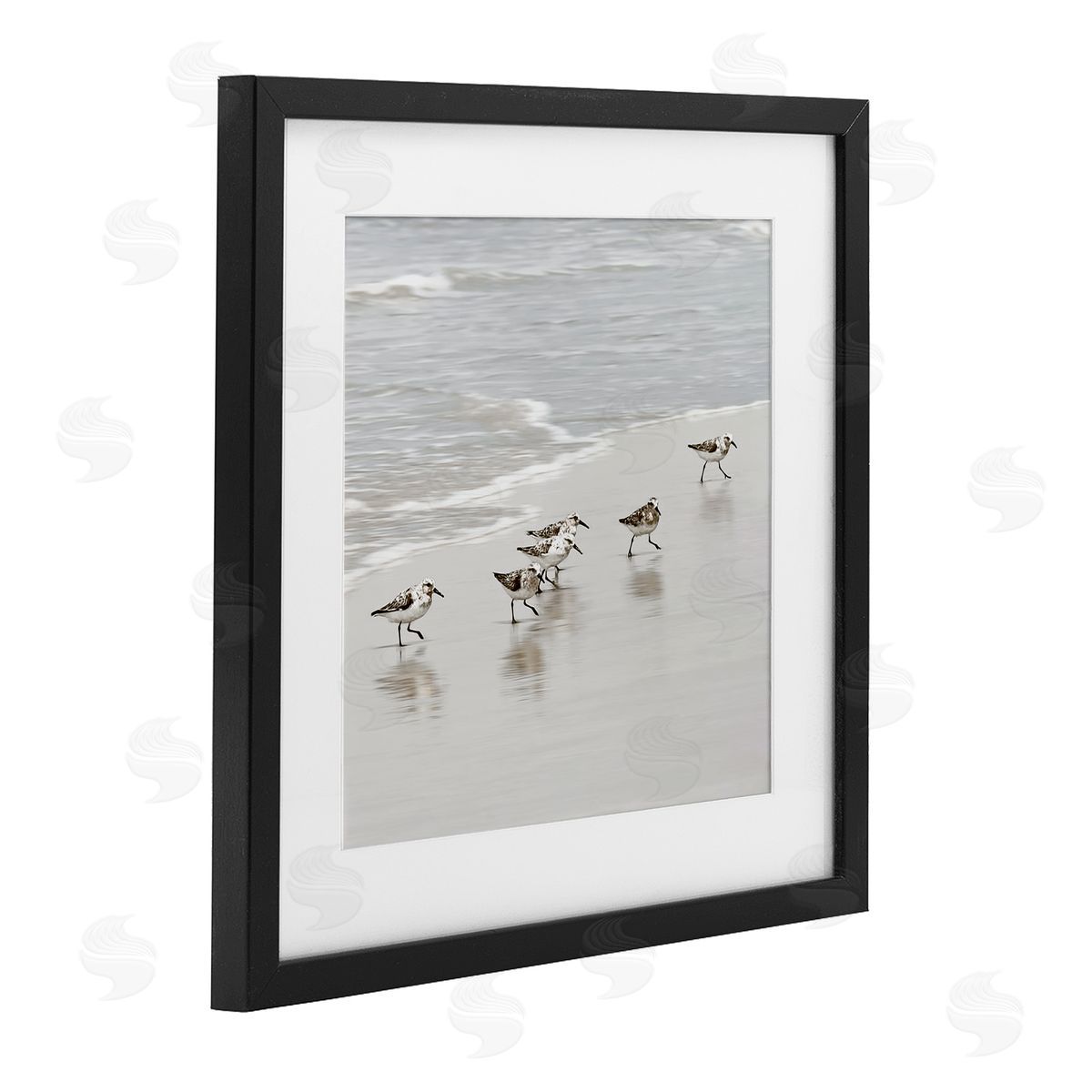 Natalie Carpentieri Scurrying Sandpiper Birds Canvas Wall Art Print