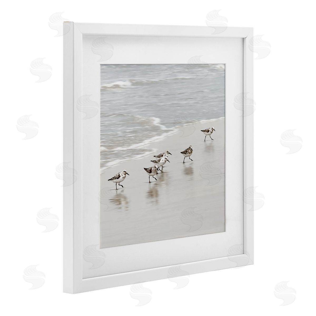 Natalie Carpentieri Scurrying Sandpiper Birds Canvas Wall Art Print