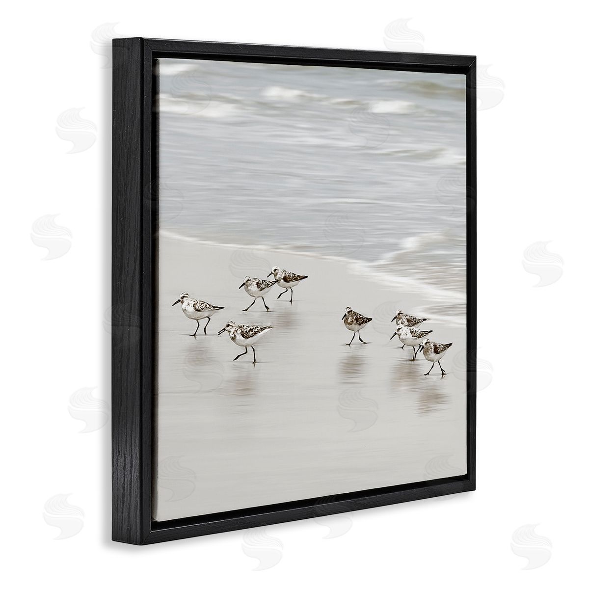 Natalie Carpentieri Beach Birds Scurrying Canvas Wall Art Print