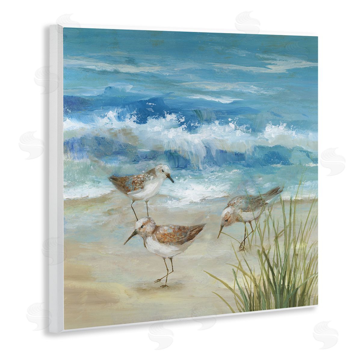 Nan Beach Sandpiper Gathering Canvas Wall Art Print
