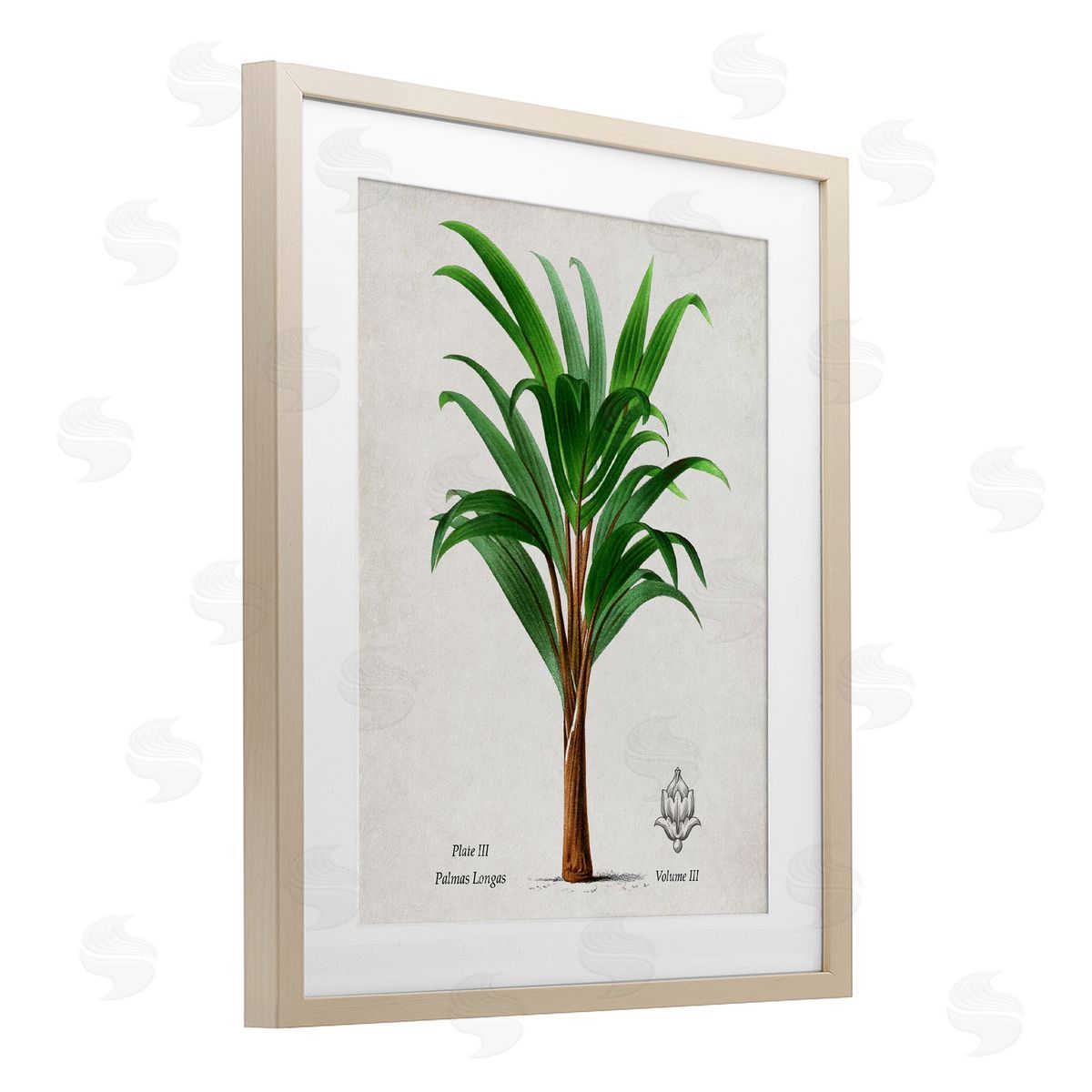 Val Rhodes Vintage Banana Leaf Palm Canvas Wall Art Print