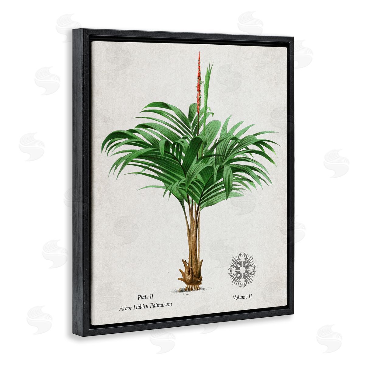 Val Rhodes Vintage Wide Palm Plant Canvas Wall Art Print