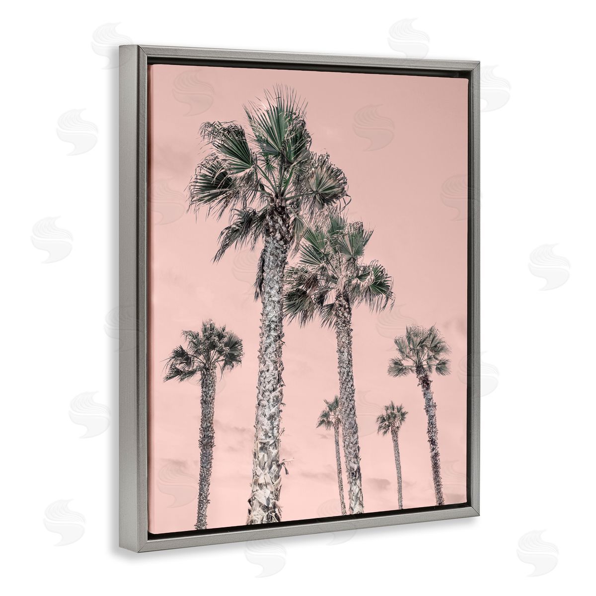 Natalie Carpentieri Palm Up Pink Sky Canvas Wall Art Print