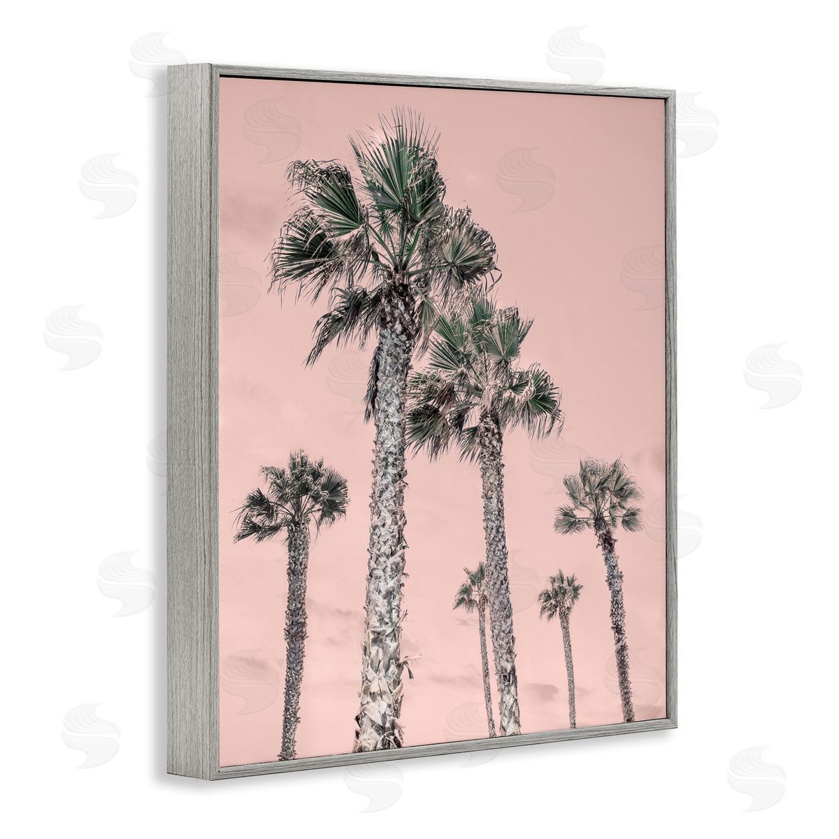 Natalie Carpentieri Palm Up Pink Sky Canvas Wall Art Print