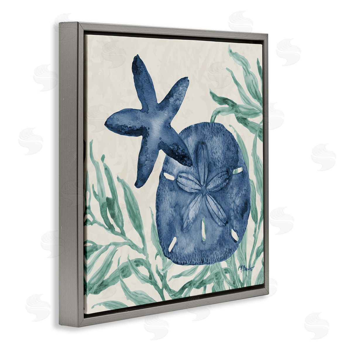 Paul Brent Tampico Starfish & Sand Dollar Canvas Wall Art Print