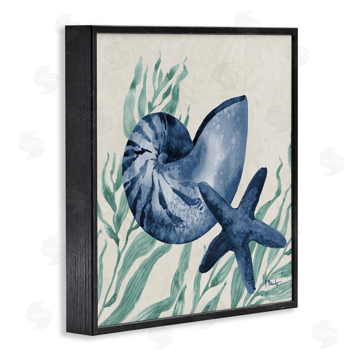 Paul Brent Nautical Tampico Shells Canvas Wall Art Print