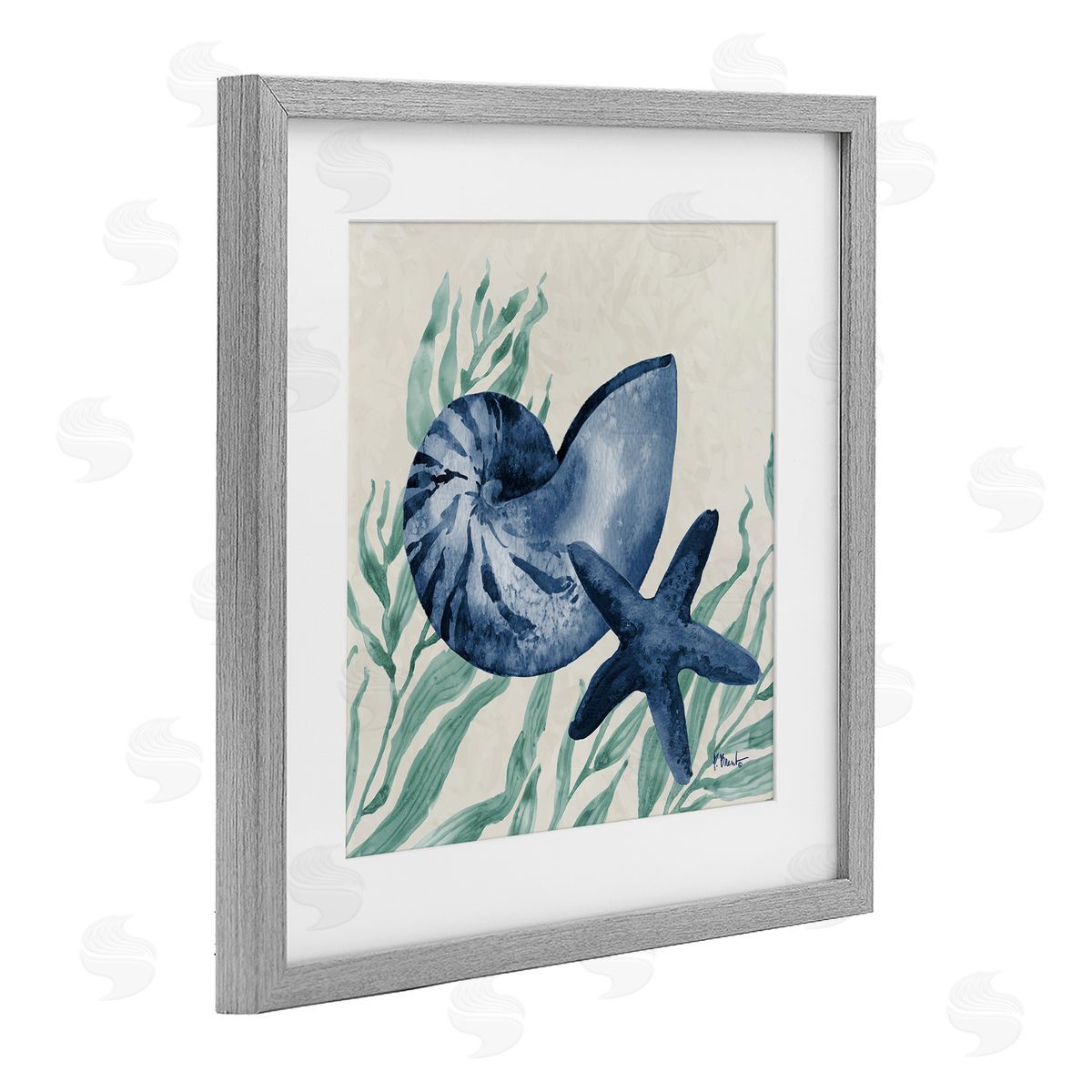Paul Brent Nautical Tampico Shells Canvas Wall Art Print