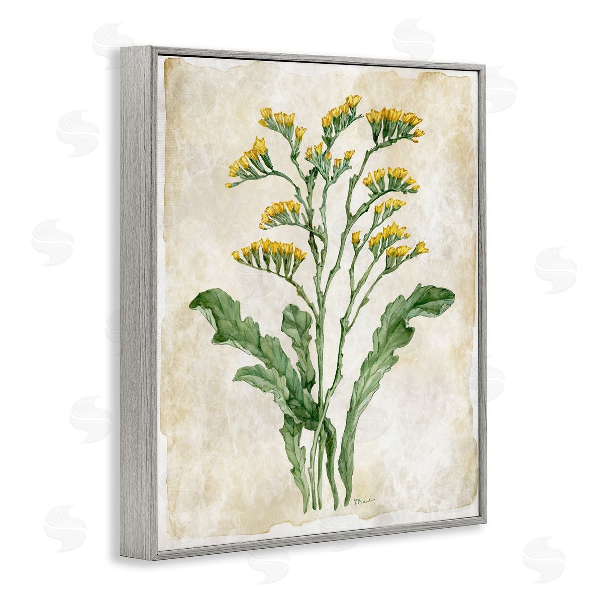 Paul Brent Vintage Floral Journal Canvas Wall Art Print