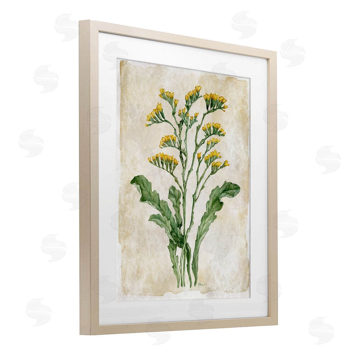 Paul Brent Vintage Floral Journal Canvas Wall Art Print