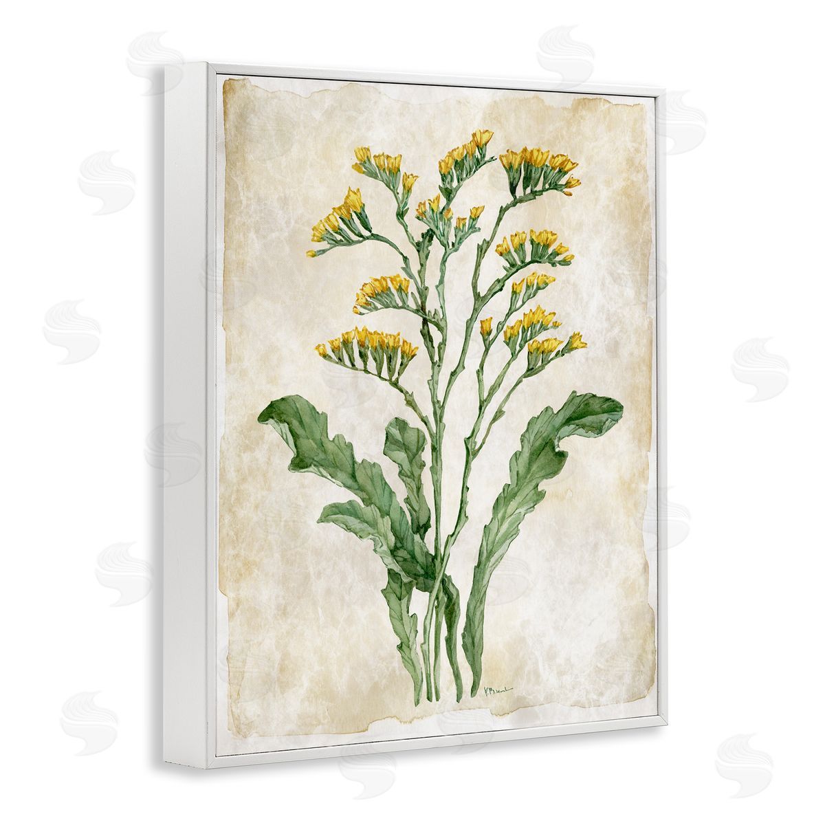 Paul Brent Vintage Floral Journal Canvas Wall Art Print