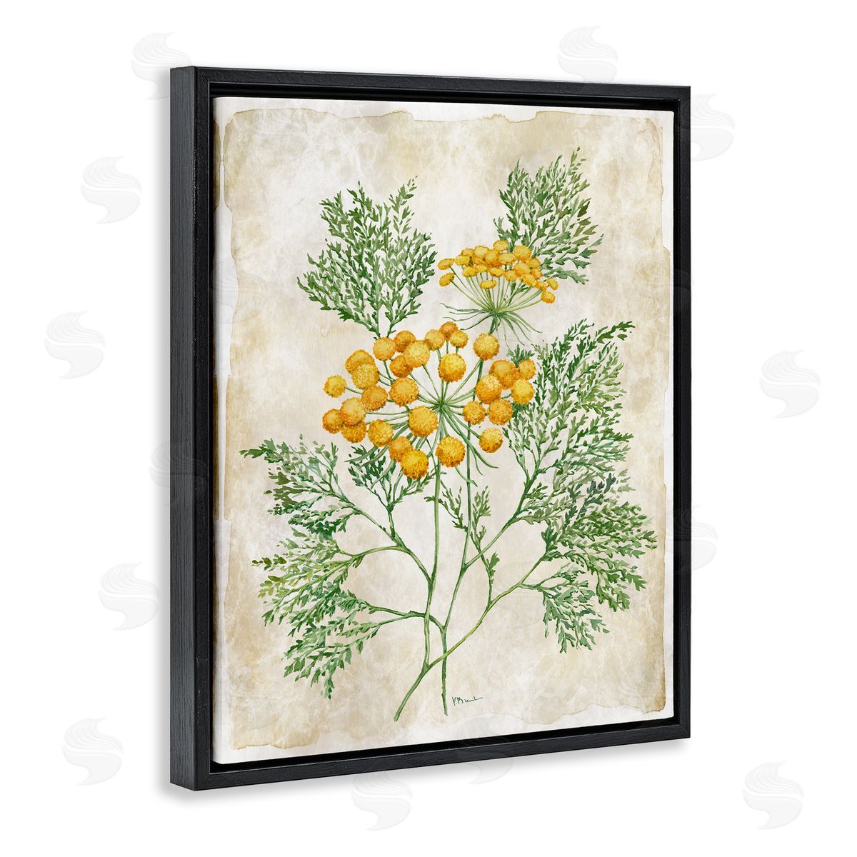Paul Brent Botanical Journal Page Canvas Wall Art Print