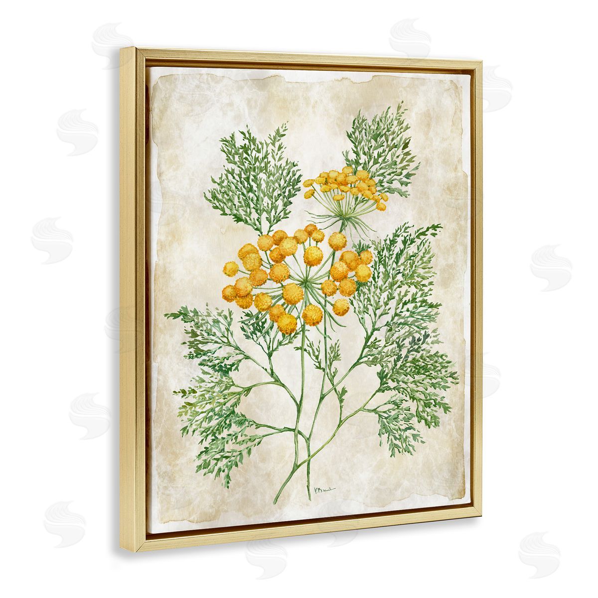 Paul Brent Botanical Journal Page Canvas Wall Art Print