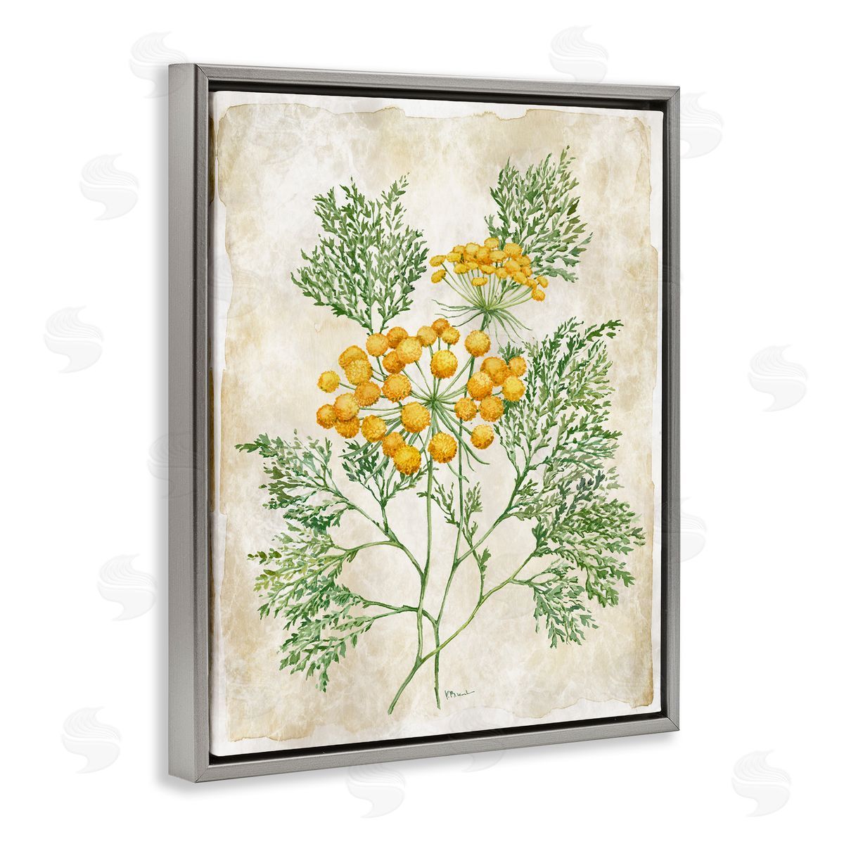 Paul Brent Botanical Journal Page Canvas Wall Art Print