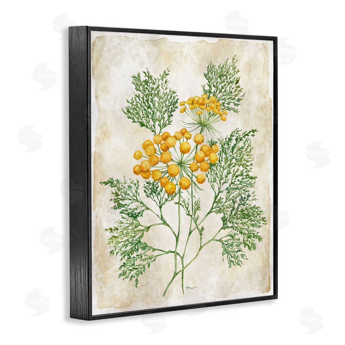 Paul Brent Botanical Journal Page Canvas Wall Art Print