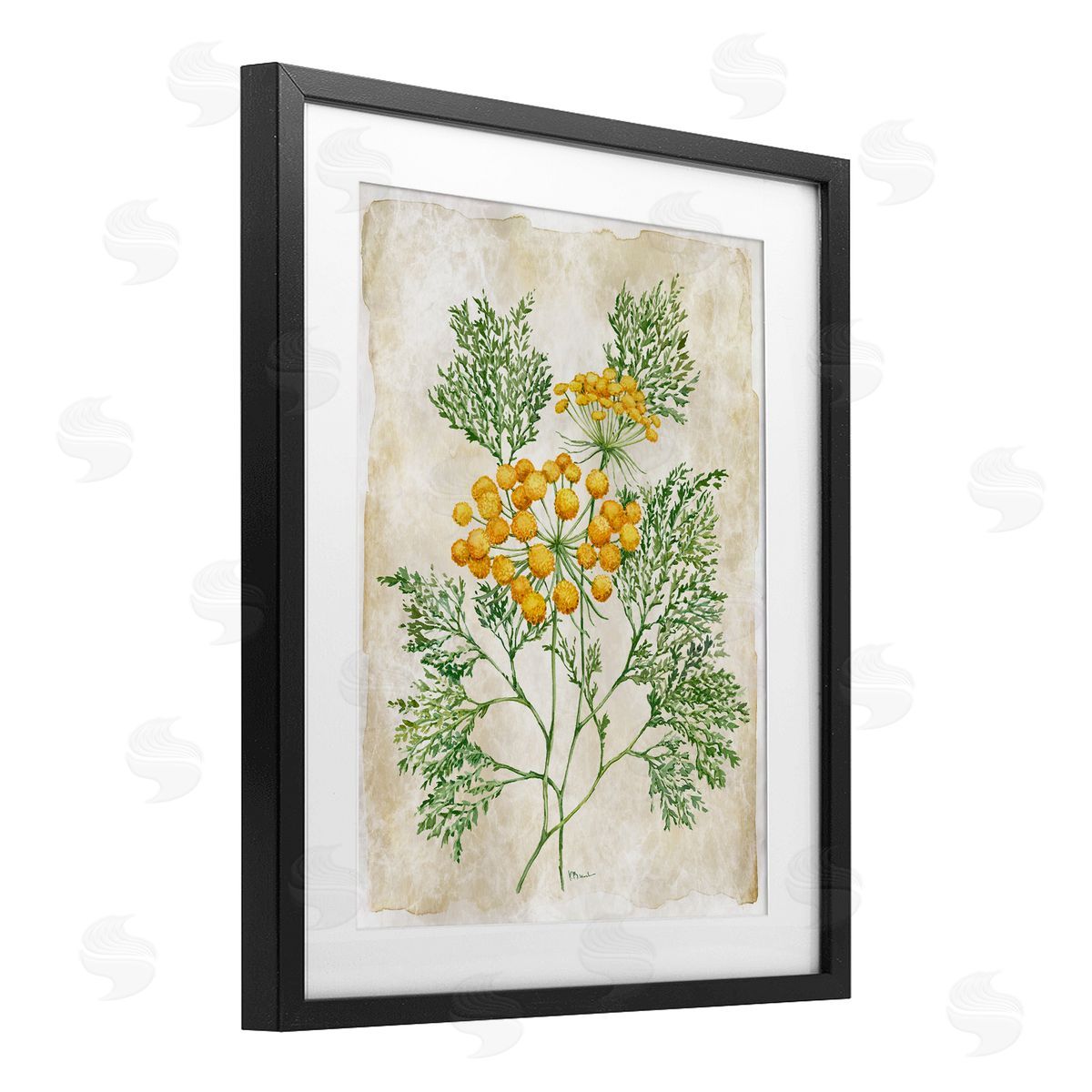 Paul Brent Botanical Journal Page Canvas Wall Art Print