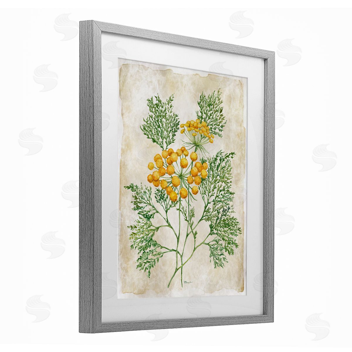 Paul Brent Botanical Journal Page Canvas Wall Art Print