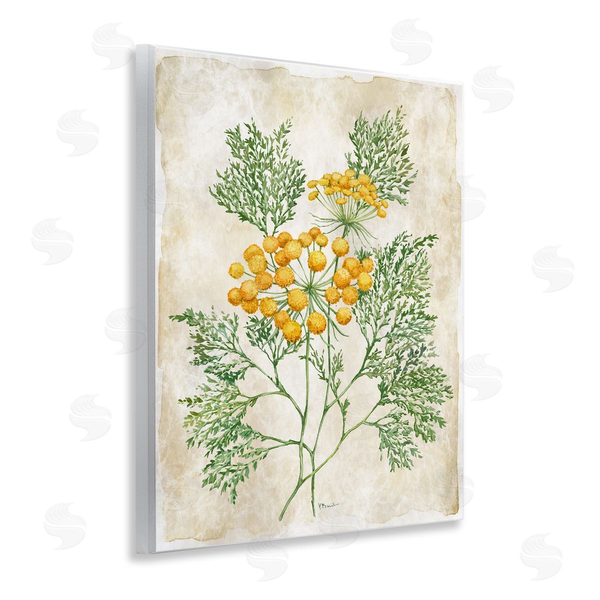 Paul Brent Botanical Journal Page Canvas Wall Art Print