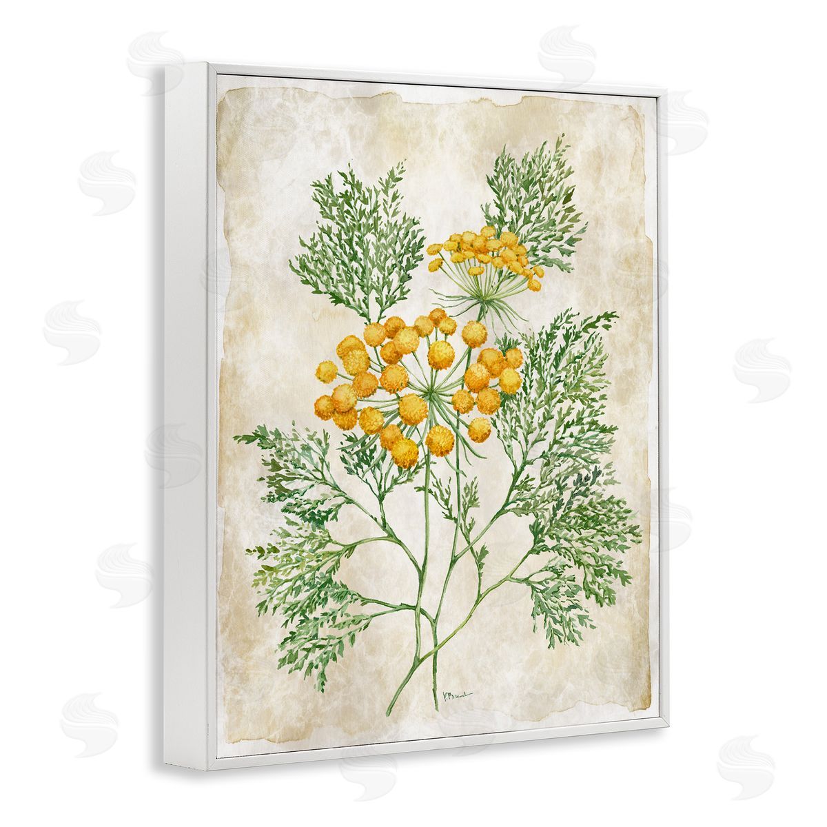 Paul Brent Botanical Journal Page Canvas Wall Art Print