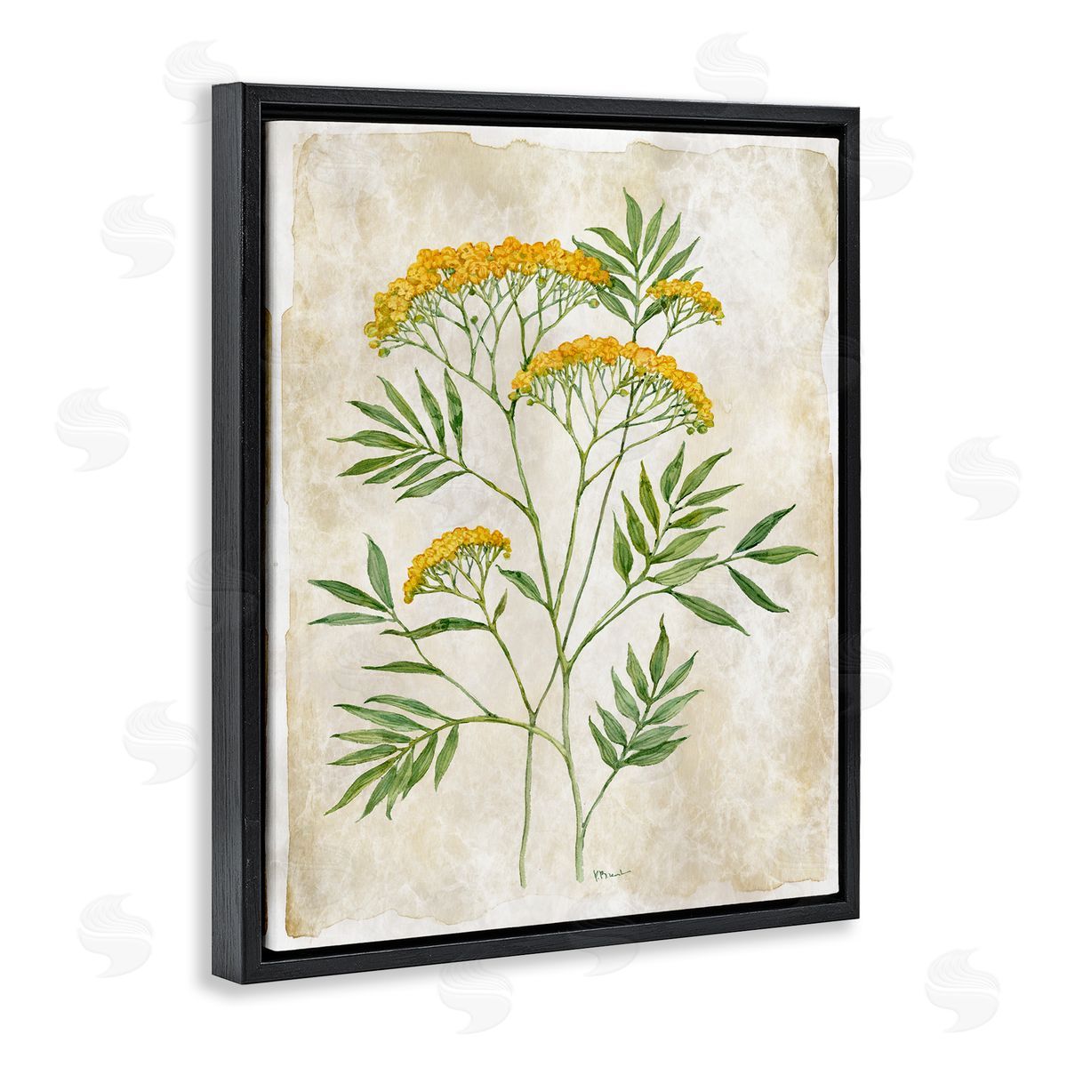 Paul Brent Vintage Flower Journal Canvas Wall Art Print