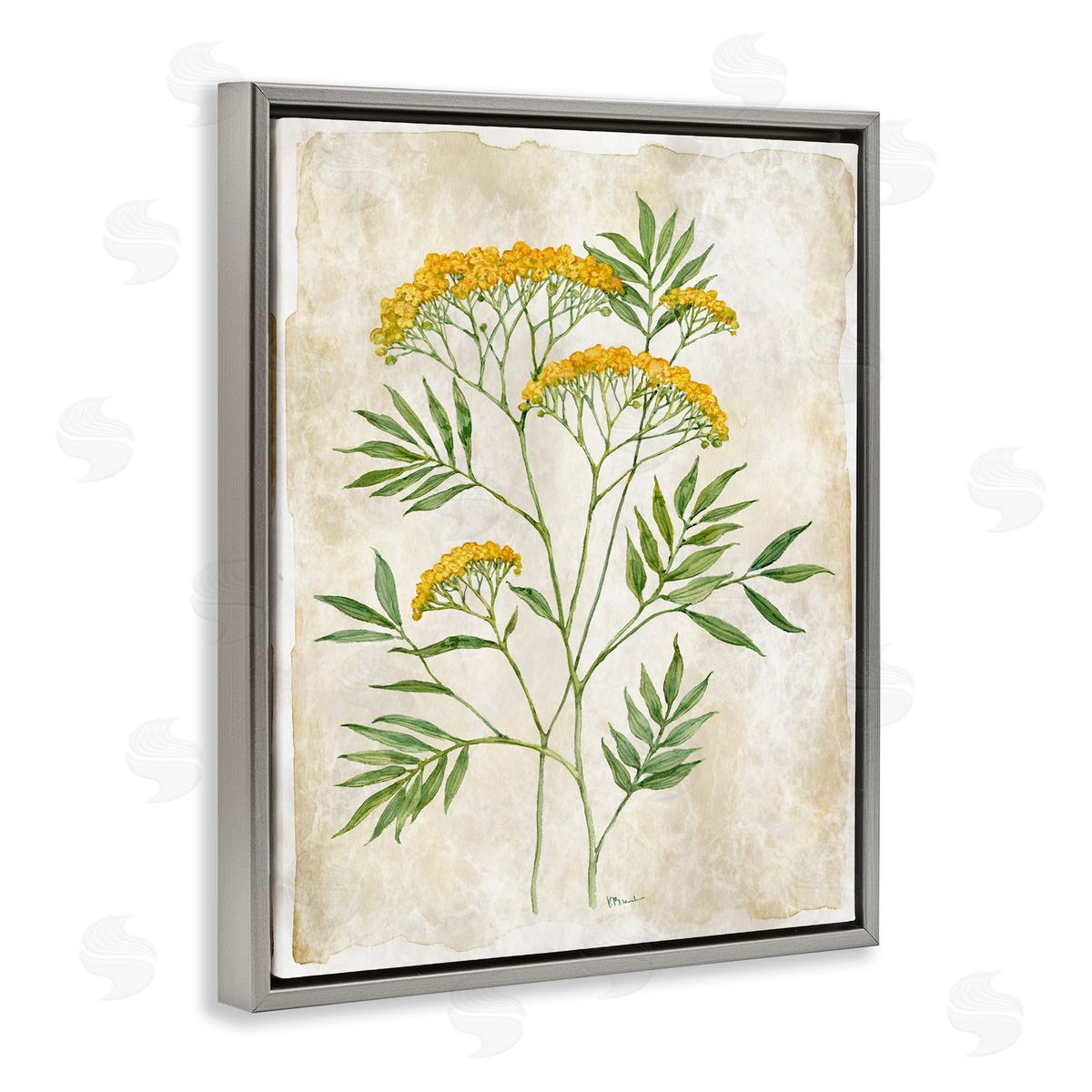 Paul Brent Vintage Flower Journal Canvas Wall Art Print
