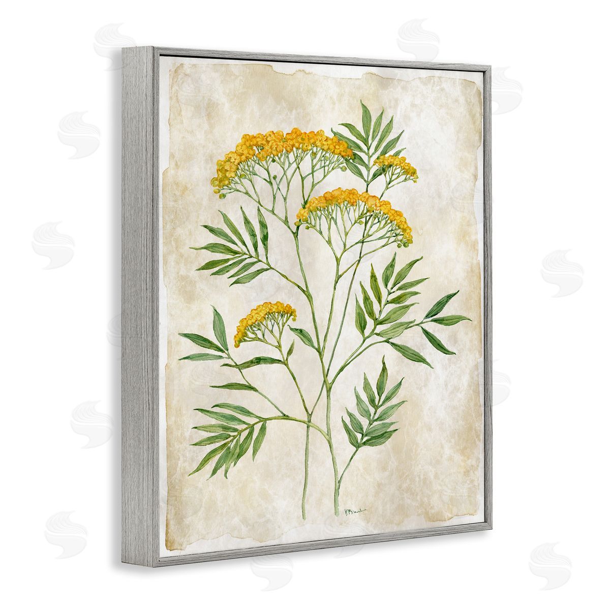 Paul Brent Vintage Flower Journal Canvas Wall Art Print