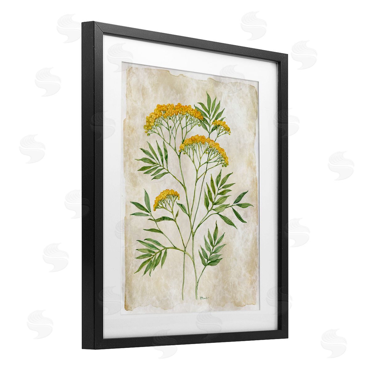 Paul Brent Vintage Flower Journal Canvas Wall Art Print