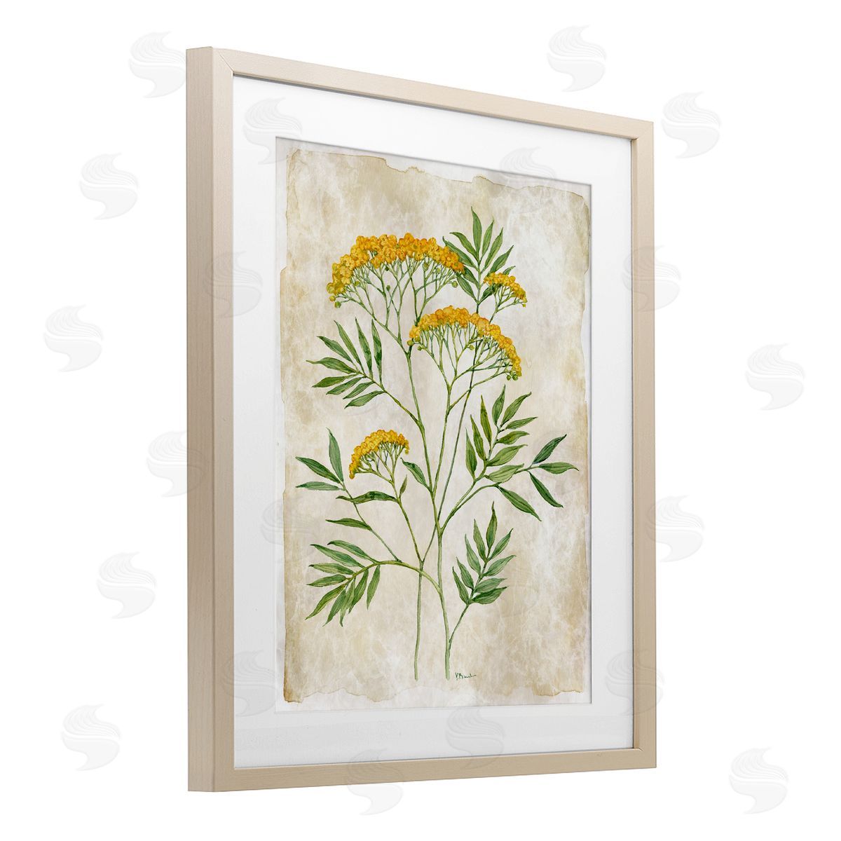 Paul Brent Vintage Flower Journal Canvas Wall Art Print