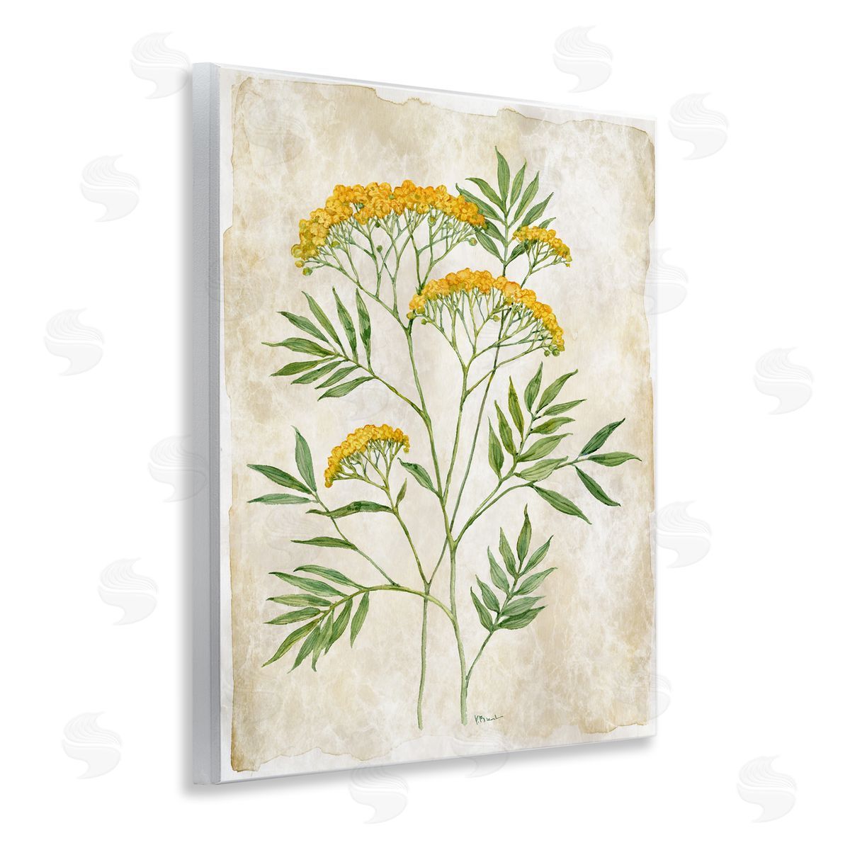 Paul Brent Vintage Flower Journal Canvas Wall Art Print
