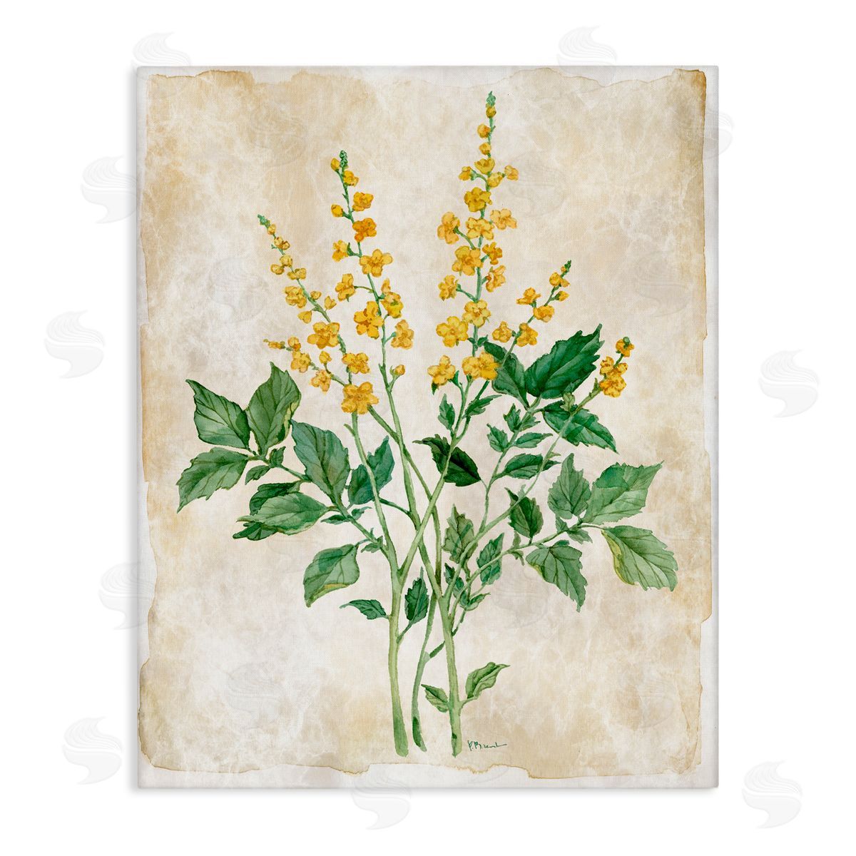 Paul Brent Floral Journal Page Canvas Wall Art Print