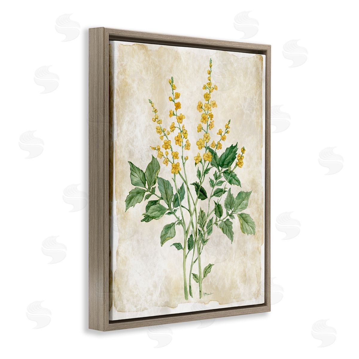Paul Brent Floral Journal Page Canvas Wall Art Print