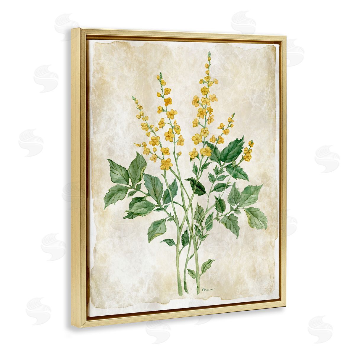 Paul Brent Floral Journal Page Canvas Wall Art Print