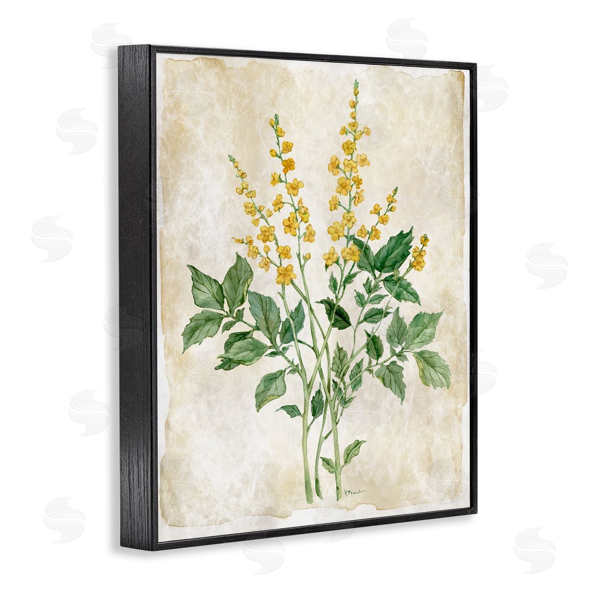 Paul Brent Floral Journal Page Canvas Wall Art Print
