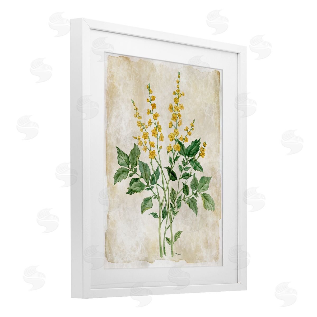 Paul Brent Floral Journal Page Canvas Wall Art Print