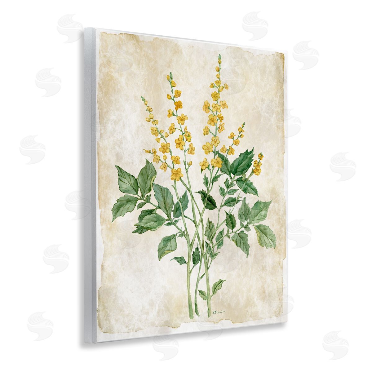 Paul Brent Floral Journal Page Canvas Wall Art Print