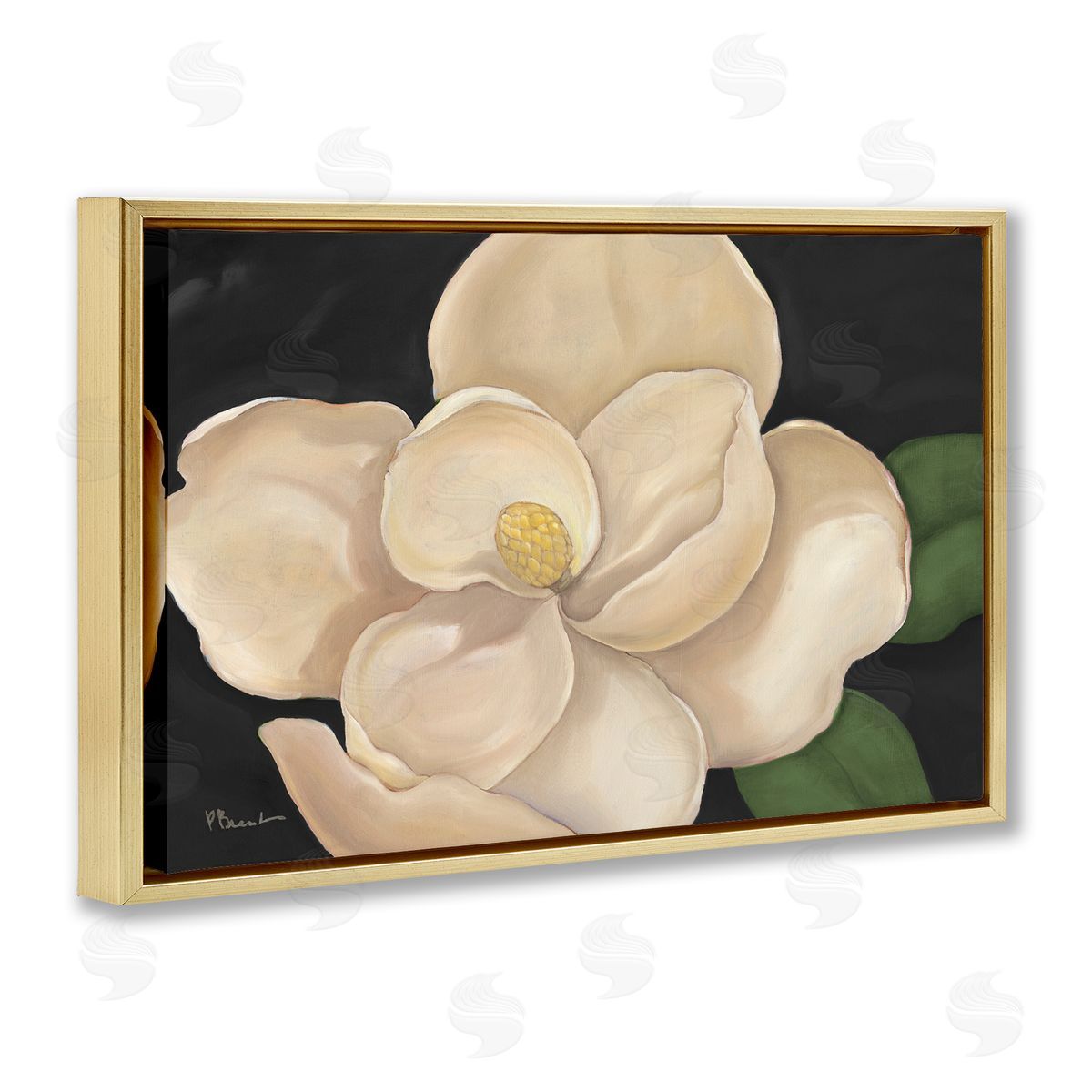 Paul Brent Magnolia Grandiflora on Black Canvas Wall Art Print