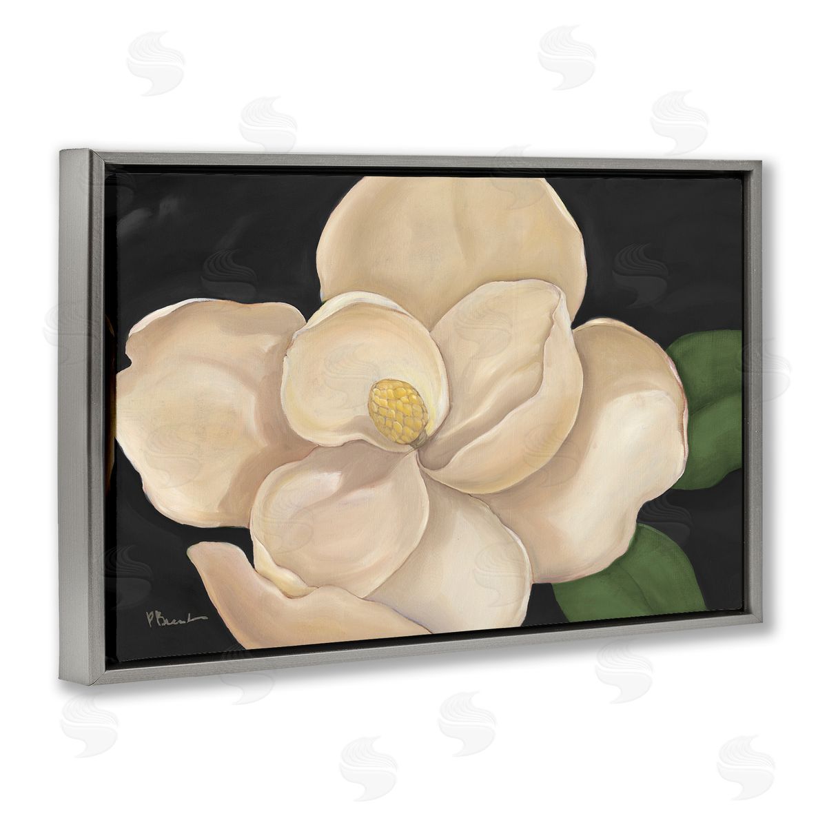 Paul Brent Magnolia Grandiflora on Black Canvas Wall Art Print